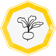 Logo Gemüse Seher Retz-Obernalb